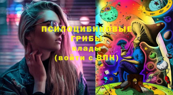 дурь Богородск