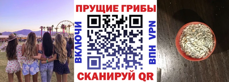 Псилоцибиновые грибы GOLDEN TEACHER  Старица 